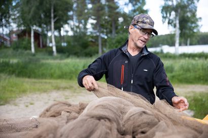 Kalastajan unelmakylä ainutlaatuisen Kitkajärven vieressä – maisemat ja oma rauha keräävät kehuja Suonnankylän asukkailta