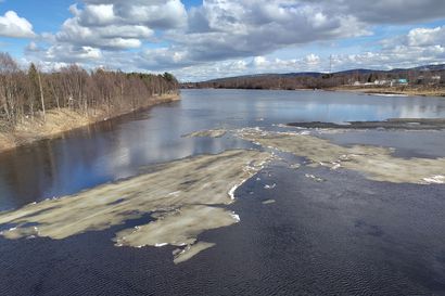 Lapin jokien virtaamat ovat alkaneet kasvaa – Oulun pohjoispuolisella rannikolla jokien pinnat nousevat huippuunsa lähipäivinä