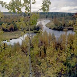 Aika ennen Rajakosken siltaa Pärjänjoella –  Muutama tarina siitä, miten joen ylittäminen onnistui tai ei onnistunut vaikeissa olosuhteissa