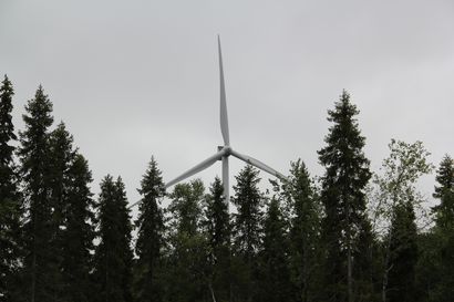 Sodankylän kunnanhallitus poistaa Nuttion tuulivoima-alueen maakuntakaavasta