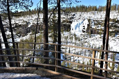 Oulangan kansallispuistossa ja Korouomassa uusitaan pitkospuureittejä – "Rakennustarpeiden vienti vaatii talvella maastoon satoja kelkkareissuja"