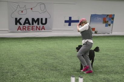 Tältä näyttää koiratanssi – Oulussa kilpailtiin lauantaina Suomen mestaruudesta