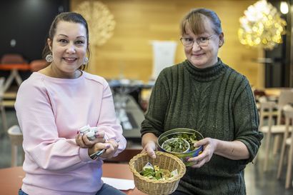 Naiset kiinnostuivat yritysvalmennuksista: Oulun hautomoissa muhitellaan nyt ideoita luontoyrittäjyydestä ja vegaanipohjaisista kauneustuotteista