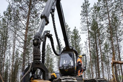 Euroopan komissio hamuaa päätösvaltaa Suomen metsistä, mihin ei tule suostua millään verukkeella