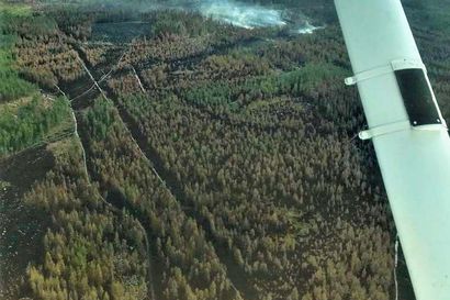 Heinäkuun helteet nostivat metsäpalojen tähystyslentojen määrän historiallisen suureksi, lennot jatkuvat tarvittaessa syyskuulle asti