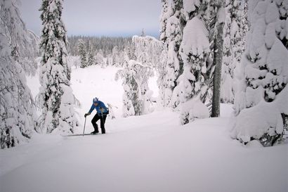 Syötekylän luomumeteorologi Niilo Sarajärvi ennustaa lopputalven säitä – tältä näyttävät pakkas- ja lumitilanne