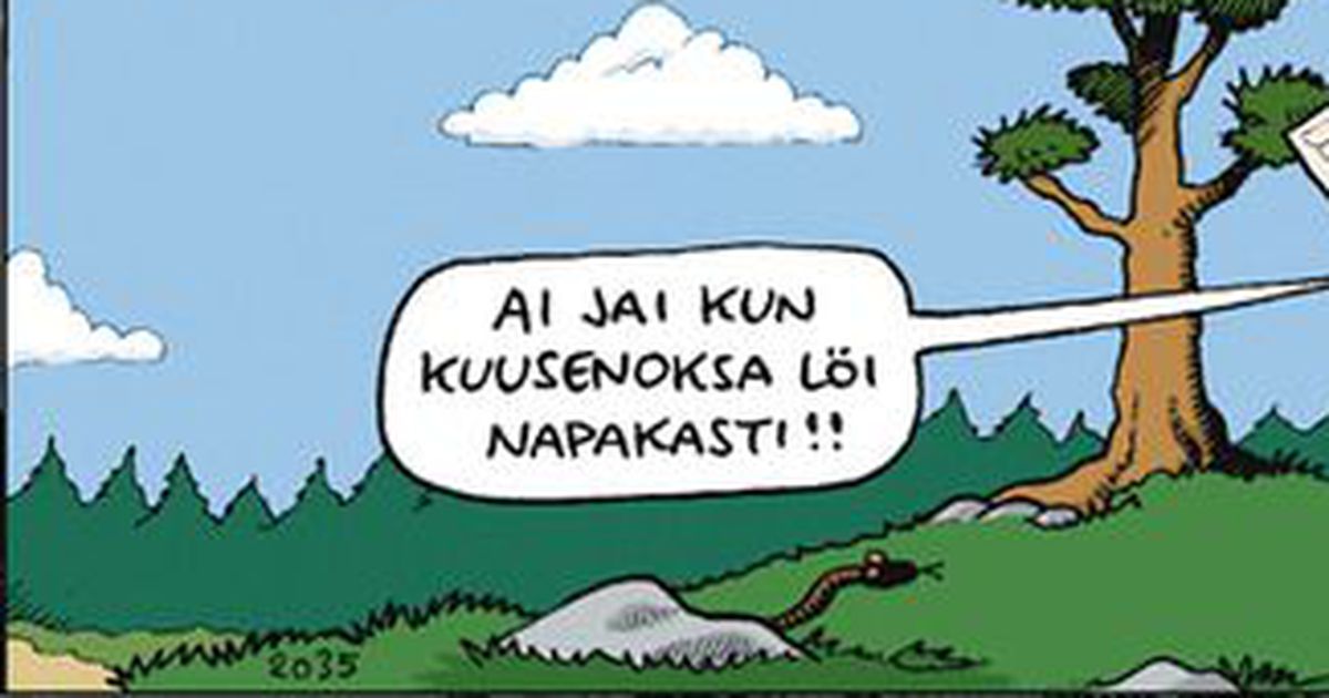 Fingerpori  | Kaleva