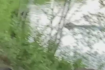 Onko tässä susi? Rovaniemeläisellä asuinalueella mahdollinen susihavainto – katso lukijan video