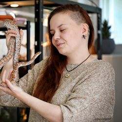 Oululaisen Jenni Ryytyn eksoottinen lemmikkikatras puistattaa monia – "Torakat ovat äärimmäisen kiehtovia ja väärinymmärrettyjä hyönteisiä"