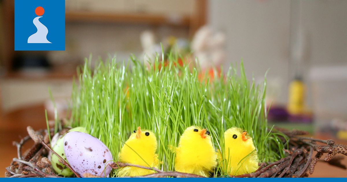 Mistä pääsiäisen munat ja puput ovat peräisin? – Odotettu kevään juhla on  vanhempi kuin osaamme kuvitella | Iijokiseutu