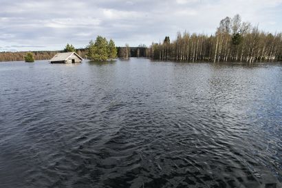 Pohjois-Pohjanmaan jokien hyvä tulvaennuste voi muuttua radikaalisti, jos kevään sateet kasvattavat lumen vesiarvoja