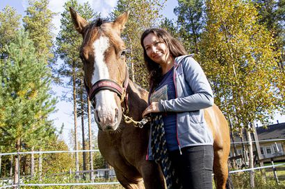 Hevonen opettaa ottamaan rauhallisesti –  uusi palvelu auttaa etsimään mielen tasapainoa