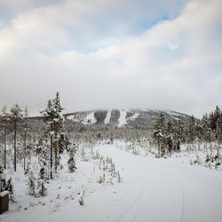 Kemijärvi aikoo jättää osan Suomutunturin laduista kunnostamatta – mökkiläiset polkaisivat pystyyn adressin, joka vastustaa kaupungin päätöstä