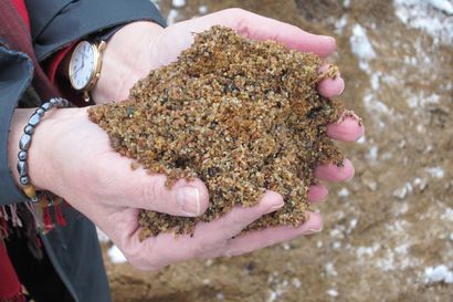 Ympäristöriskejä selvitetään - kohteena vanha kaatopaikka Vihannissa ja sahan alue Siikajoella
