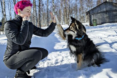 "Koira on täydellinen matkakumppani" – Hailuotolainen Annukka Loukola päätti ottaa Muru-koiransa mukaan reppureissulle Euroopan halki