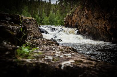 Oulangan ja Syötteen kansallispuistot edelleen Suomen kymmenen suosituimman listalla