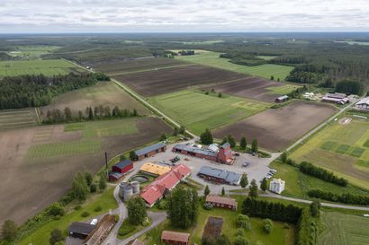 26 hehtaarin turvekenttä valjastettiin kasvihuonekaasupäästöjen ja vesienhallinnan tutkimukseen Ruukissa – Suurin osa Suomen maatalouden kasvihuonekaasupäästöistä on peräisin turvemaista