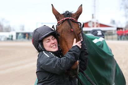 Willow Pridelle Seinäjoki Racen 70000 euroa - Lapin hevosille menestystä Lakeuksilta