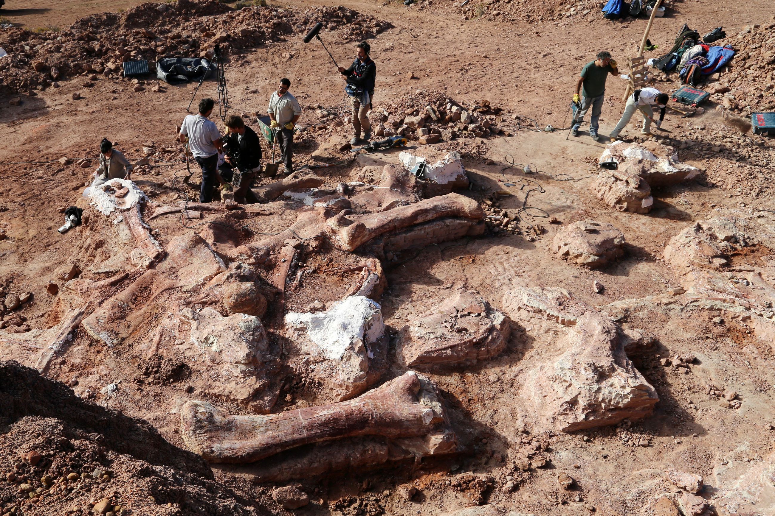 Земля больших людей. Кладбище динозавров в Кундуре. Останки динозавров палеонтолог. В Аргентине обнаружены останки самого крупного динозавра в истории. Раскопки палеонтологов динозавров.
