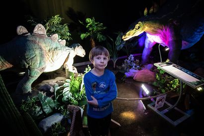 Huomasitko sinä, että Triceratops olikin Stegosauruksen poikanen? Kuusivuotias oululainen Jalmari Aikio huomasi ja Tietomaan Dinosauria-näyttelyyn lipsahtanut virhe korjattiin oitis