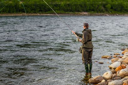 Suomi ja Norja sopivat Tenojoen kalastussäännöstä, lohen kalastus sallittaisiin ylijäämäkiintiöistä – saamelaiskäräjät tyytymätön neuvotteluihin