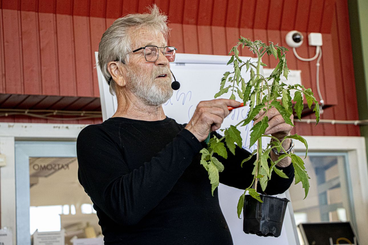 Arno Kasvi muistutti kotitarveviljelyn hyödyistä