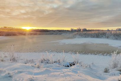 Katso lukijoidemme upeat talviset valokuvat – lakeuden taivaalla riittää väriä ja luonnossa lunta