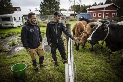 Ranualle on nousemassa Suomen suurin maatilojen omistama biokaasulaitos – "Eiköhän perustajat löydy"