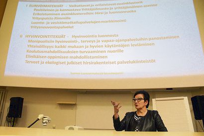 Suomen luonnonmukaisin kasvukaupunki päämääränä – nämä ovat Pudasjärven uuden kuntastrategian kovat tavoitteet