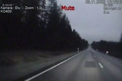 Poliisipartiolla refleksit kunnossa: Video näyttää poron väistön viime hetkellä Kuusamontiellä