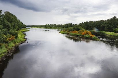 Omakotitalo joen rannalla Iissä, kokonainen maatila Oulaisissa – pohjoispohjalaiset kohteet nousivat huutokauppasivun katsotuimpien joukkoon