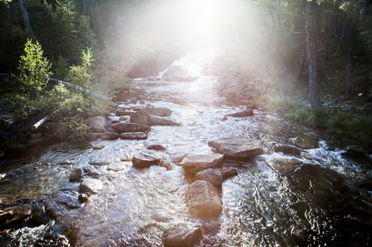 Lemmenjoen kansallispuistossa retkeilijöitä kehotetaan keittämään juomavesi