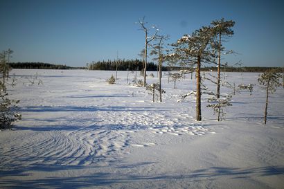 Pudasjärven helmikuu oli kylmä ja vähäsateinen – lentokentällä lunta oli sunnuntaina 74 senttimetriä