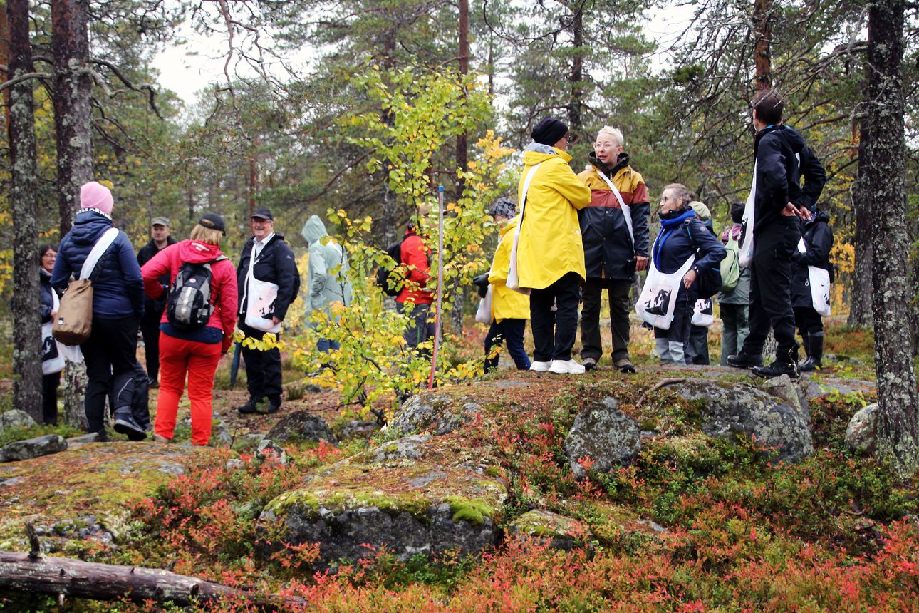 3 000 hopearuplaa vuodessa pelkästään Suomen puolen mittauksiin – Tornionjokilaaksossa historiallisia Struven ketjun pisteitä löytyy molemmin puolin rajaa