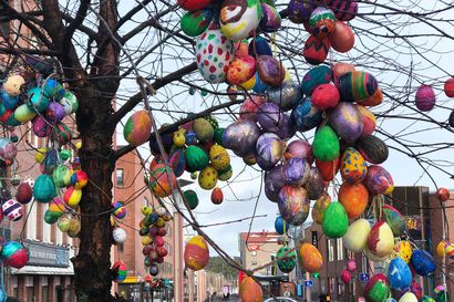 Pääsiäispuu nousee Rovaniemen Lordinaukiolle huhtikuun ajaksi – tempaus kannustaa jokaista koristelemaan pihapuunsa