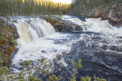 Lukijalta: Oulankajoen valuma-alue on arvokas luontokohde, jota ei saa tuhota kaivoksella
