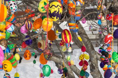 Pääsiäispuut tuovat väriä Lordinaukiolle – kaupunkilaisia kannustetaan myös koristelemaan omia pääsiäispuita
