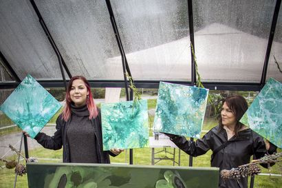 Hailuodon kunnantalon pihalla on kasvihuoneellinen taidetta – näkyvyyttä taiteiljoille, hyvinvointia kuntalaisille