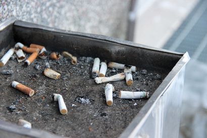 Nuoret kokevat nikotiinituotteiden hankkimisen helpoksi – nuuskan ja tupakan satunnainen käyttö kasvanut