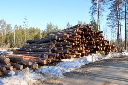 Stora Enso myy sahansa ja puunhankintansa Venäjällä – ostajina yhtiön paikallinen johto