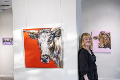 Oululainen galleria rikkoo ennätyksiä lehmätauluilla – Ilmeikkäiden lehmien lempeä katse pysäyttää ja vetoaa näyttelyvieraisiin