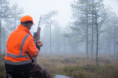 Kantatavoitteet ohjaavat hirvieläinten metsästystä