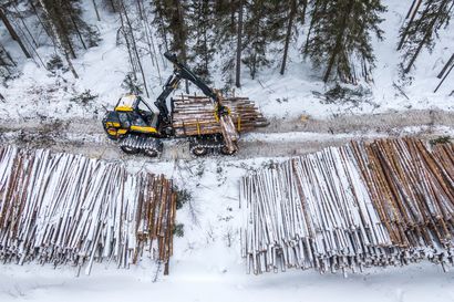 MTK odottaa Lappiin vilkasta puukauppavuotta – kysyntää lisäävät energiapuun menekki ja Venäjän tuonnin loppuminen