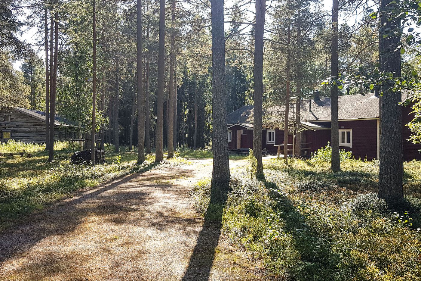 Lapin Metsämuseolla Hakataan Puita, Rakennetaan Tapahtuma-aukio Ja ...