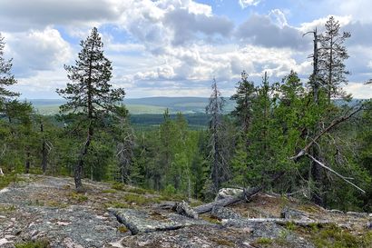 Retkellä: Piknikretki kallioiselle laelle – Rovaniemen Karhunulkilta avautuu jylhä maisema aina Lehtojärvelle saakka