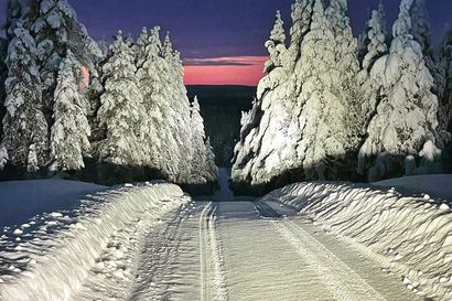 Ville ja maailman parhaat viivalla Rovaniemen MM-rallissa - Esapekka Lapin paluu Tunturin teille tekee WRC2-luokasta erityisen mielenkiintoisen