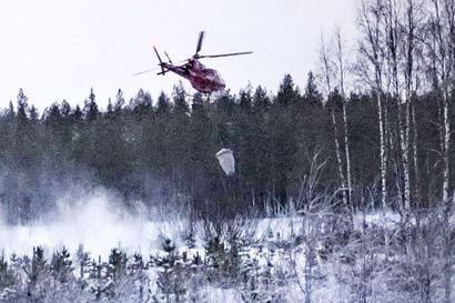Helikopteri pöläytti Pudasjärvellä männikköön viitisenkymmentä tonnia rakeistettua tuhkaa – Tuhkalannoitus on myös metsien hiilikauppaa