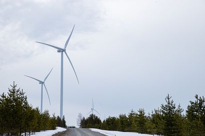 Mikä on oikea hinta tuulivoi­ma­la-alueen maa­poh­jas­ta? – metsäasiantuntija painottaa, että sopimuksessa on muutakin tärkeää katsottavaa kuin vuokrataso