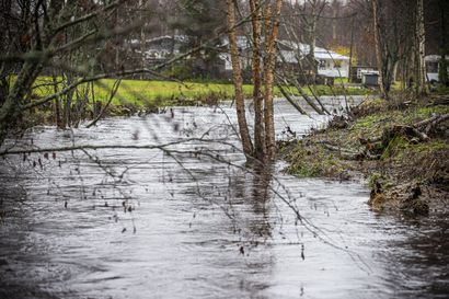 Pattijoki tekee tulvahistoriaa: Pieni joki tulvii taas