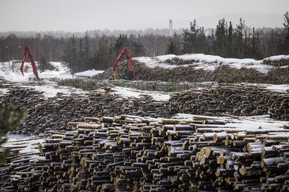 Syke: Suomella suuria vaikeuksia saavuttaa EU:n ilmastovelvoitteet – metsät voivat muuttua päästölähteeksi vuonna 2025